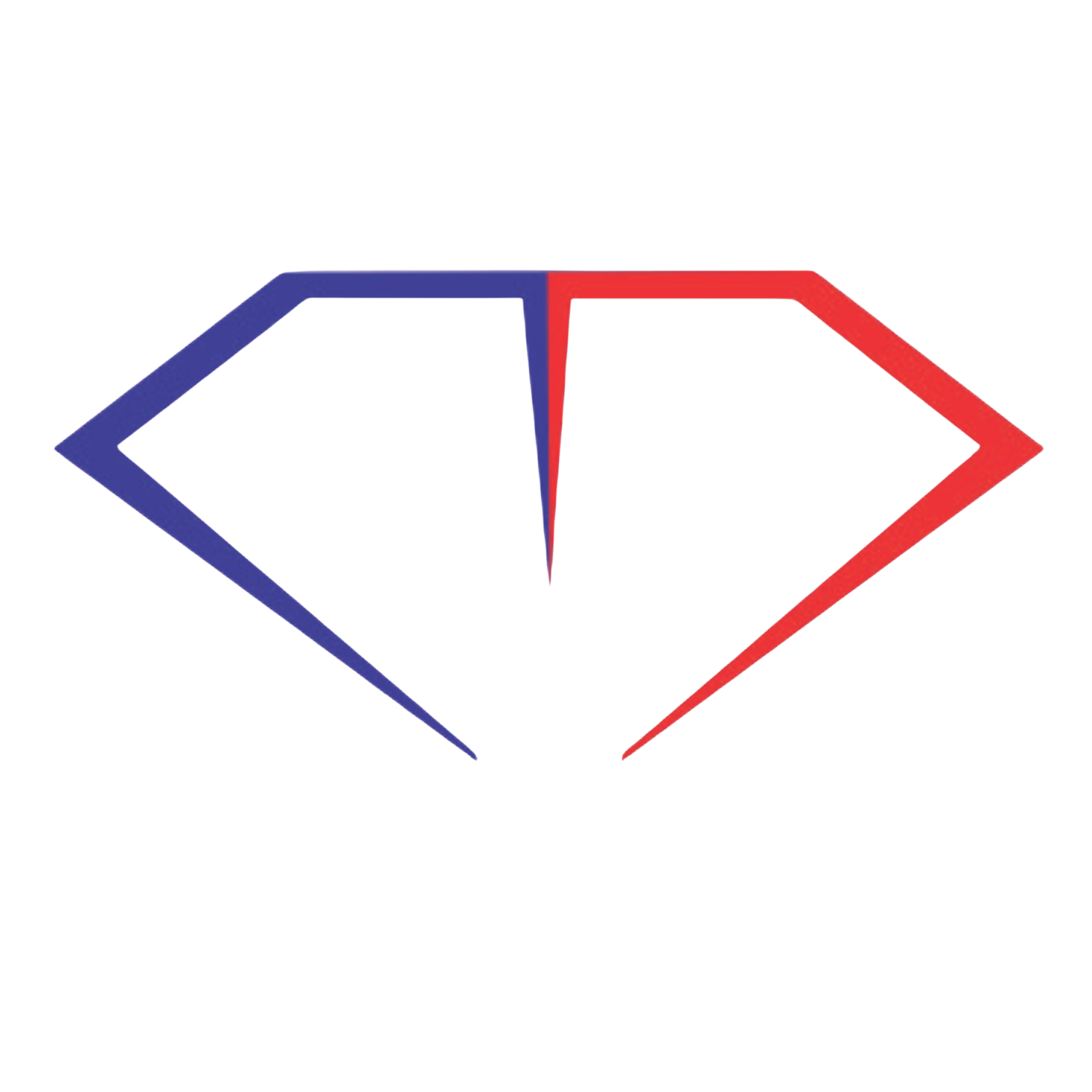 Doctor Diam PVT LTD Logo